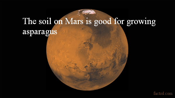 What are some interesting facts about Mars?