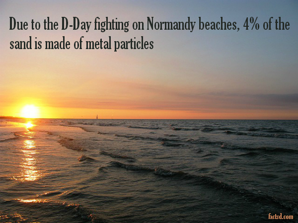 d-day facts