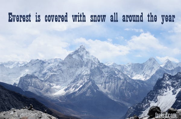 mount everest facts