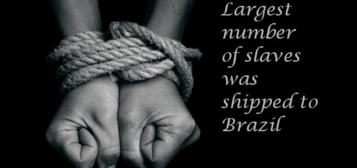 slavery facts