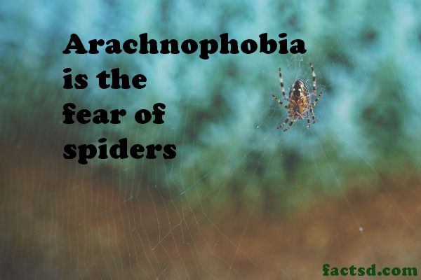 phobia facts