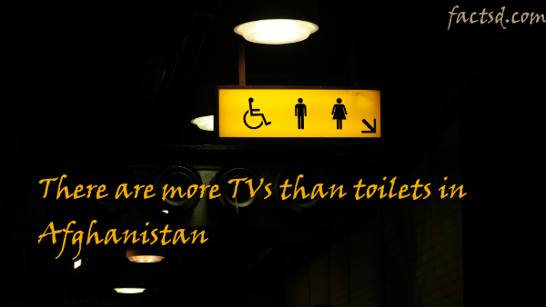 toilet facts