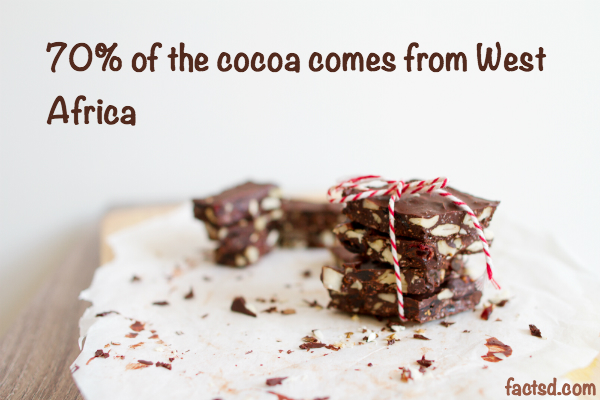 chocolate facts