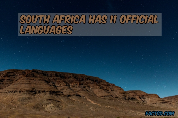 south africa facts
